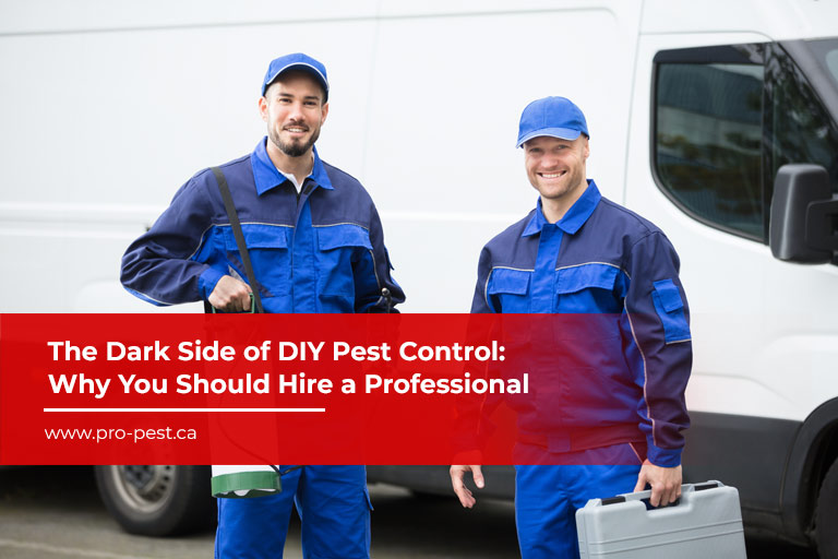 The-Dark-Side-of-DIY-Pest-Control-Why-You-Should-Hire-a-Professional