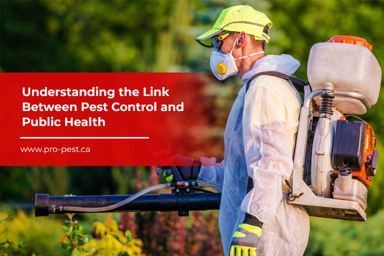 Understanding the Link Between Pest Control and Public Health