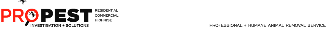 pro-pest-logo