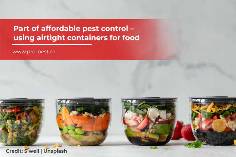 Part of affordable pest control – using airtight containers for food