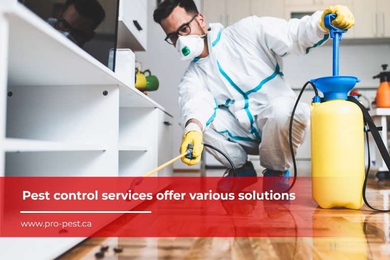 Pest control services offer various solutions