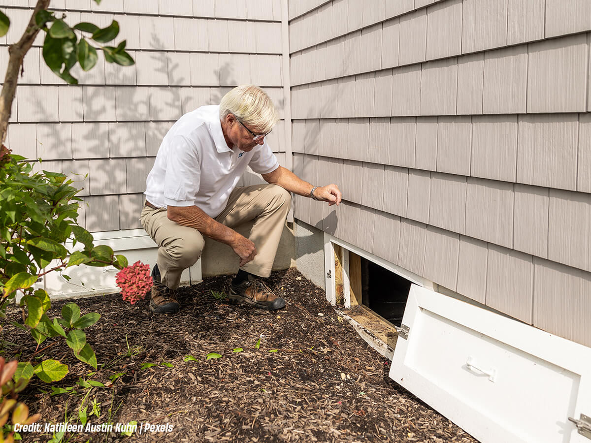 Why Is Professional Rat Removal More Effective Than Store-Bought Traps?