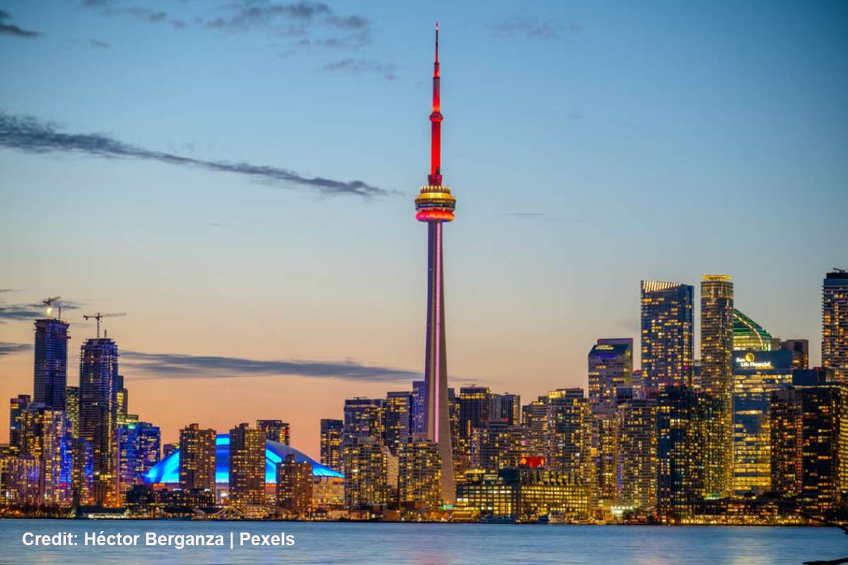 Why-Is-Toronto-the-Ultimate-Urban-Raccoon-Habitat